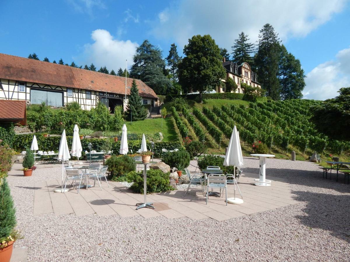 Wein Lodge Durbach - Schlossblick Exterior photo